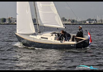 Damarin D23 (Nieuw) Sejlbåd 2024, med Yanmar motor, Holland