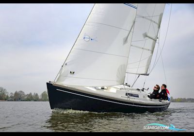 Damarin D23 (nieuw) Sejlbåd 2024, med yanmar motor, Holland