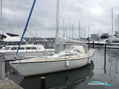 Dehler 343 Top Nova Sejlbåd 1987, med Yanmar 2GM20F motor, Danmark