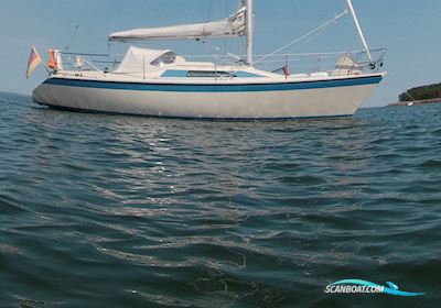 Dehler Duetta 94 Sejlbåd 1985, med 2GM20 motor, Tyskland