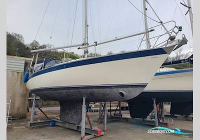 Dolphin 31 Sejlbåd 1979, med Beta motor, England