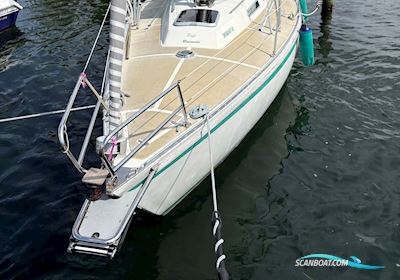 Drabant 30 Sejlbåd 1982, med Beta Marine motor, Danmark