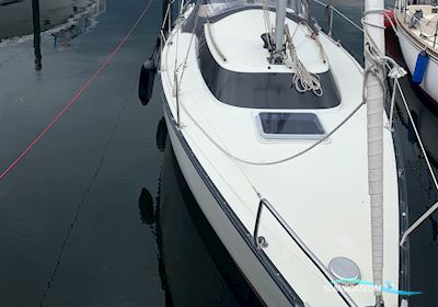Dufour 24 Sejlbåd 1978, Tyskland