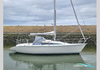 Dufour 28 Sejlbåd 1987, Holland