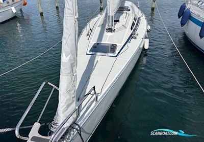 Dynamic 35 Sejlbåd 1985, med Torquedo motor, Danmark
