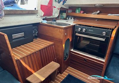Dynamic 35 Sejlbåd 1985, med Torquedo motor, Danmark