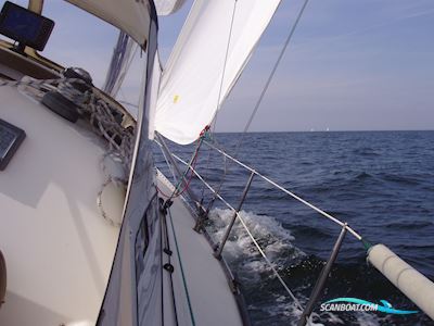 Elan 295 -VERKAUFT- Sejlbåd 1995, med YANMAR 2GM20 motor, Tyskland