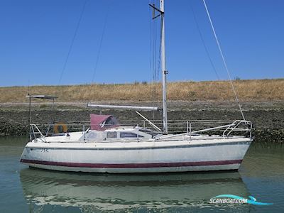 Etap 28i Sejlbåd 1990, Holland