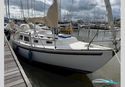 Fellowship 28 Sejlbåd 1990, med Vetus motor, Holland