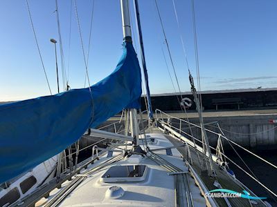 Finngulf 39  Finsk bygget kvalitet Sejlbåd 1988, med Volvo Penta motor, Danmark