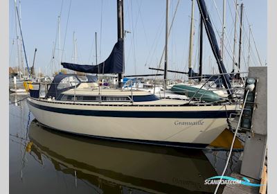 Friendship 28 Sejlbåd 1976, med Volvo Penta motor, Holland