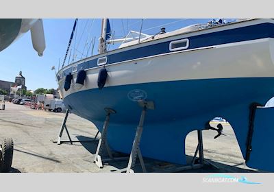 HALLBERG RASSY  352 Sejlbåd 1981, med Volvo Penta motor, Frankrig