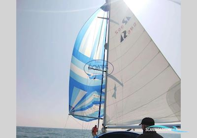 HALLBERG RASSY  352 Sejlbåd 1981, med Volvo Penta motor, Frankrig