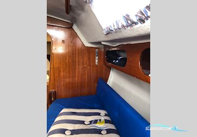 Hallberg Rassy 24 Misil II Sejlbåd 1977, Tyskland