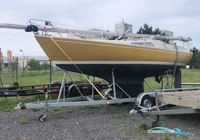Hallberg-Rassy 24 Sejlbåd 1975, med Volvo Penta MD 5B motor, Tyskland