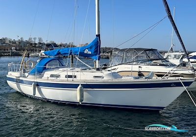Hallberg-Rassy 29 Scandinavia Sejlbåd 1988, med Volvo Penta motor, Danmark