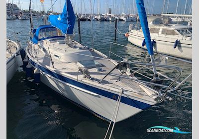 Hallberg-Rassy 29 Sejlbåd 1988, med Solé (Mitsubishi) motor, Tyskland