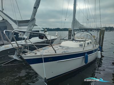 Hallberg-Rassy 29 Sejlbåd 1983, med VOLVO-PENTA MD7B motor, Tyskland