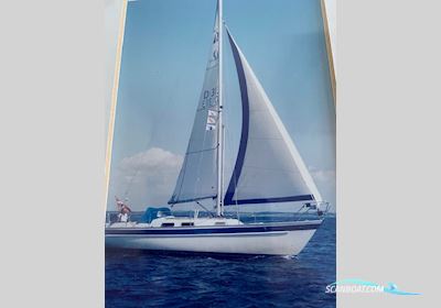 Hallberg Rassy 29 Sejlbåd 1985, med Volvo Penta D1-30F - 2006 motor, Danmark