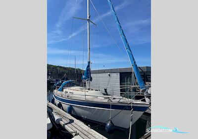 Hallberg-Rassy 29 Sejlbåd 1984, med Volvo-Penta motor, Tyskland