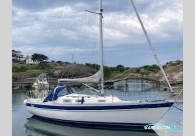 Hallberg-Rassy 29 Sejlbåd 1985, med Volvo Penta D1-20 SD motor, Sverige