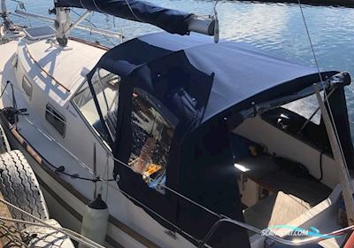 Hallberg Rassy 31 Monsun Sejlbåd 1976, med Volvo Penta D1-30 motor, Danmark