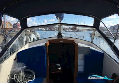 Hallberg Rassy 31 Monsun Sejlbåd 1976, med Volvo Penta D1-30 motor, Danmark