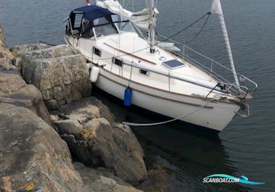Hallberg Rassy 31 Monsun Sejlbåd 1976, med Volvo Penta D1-30 motor, Danmark