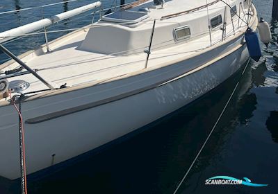 Hallberg Rassy 31 Monsun Sejlbåd 1976, med Volvo Penta D1-30 motor, Danmark