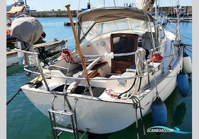 Hallberg-Rassy 31 Monsun Sejlbåd 1974, med Volvo Penta MD2B motor, Portugal