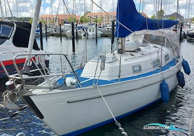 Hallberg-Rassy 31 Monsun Sejlbåd 1976, med Volvo Penta MD2030 motor, Danmark