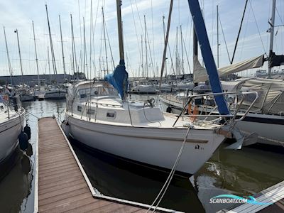 Hallberg Rassy 31 Monsun Sejlbåd 1976, med Volvo Penta motor, Holland