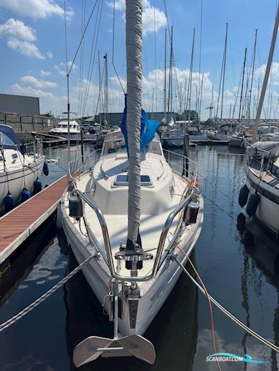 Hallberg Rassy 31 Monsun Sejlbåd 1976, med Volvo Penta motor, Holland