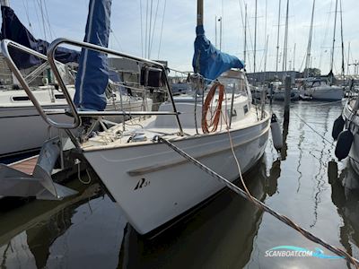 Hallberg Rassy 31 Monsun Sejlbåd 1976, med Volvo Penta motor, Holland