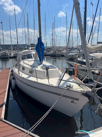 Hallberg Rassy 31 Monsun Sejlbåd 1976, med Volvo Penta motor, Holland
