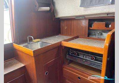 Hallberg Rassy 31 Monsun Sejlbåd 1976, med Volvo Penta motor, Holland