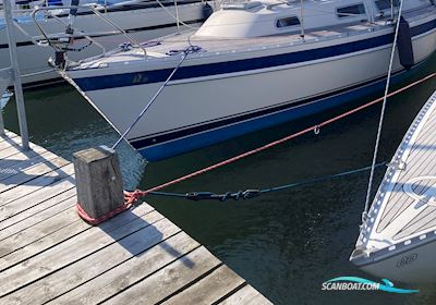 Hallberg-Rassy 31 Scandinavia Sejlbåd 1992, med Volvo Penta 2002 motor, Danmark