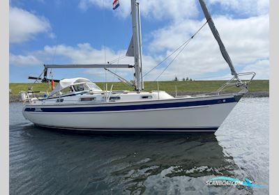 Hallberg-Rassy 31 Sejlbåd 2007, med Volvo Penta motor, Holland