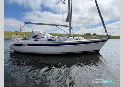 Hallberg-Rassy 31 Sejlbåd 2007, med Volvo Penta motor, Holland