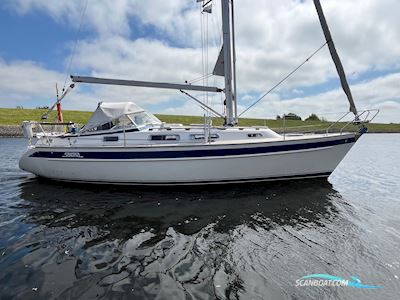 Hallberg-Rassy 31 Sejlbåd 2007, med Volvo Penta motor, Holland