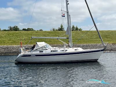 Hallberg-Rassy 31 Sejlbåd 2007, med Volvo Penta motor, Holland