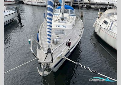 Hallberg Rassy 312 - 1991 - Aalborg Sejlbåd 1991, med Volvo Penta D1-30F motor, Danmark