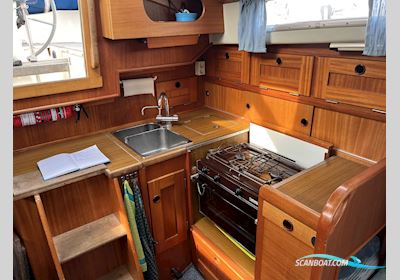 Hallberg Rassy 312 - 1991 - Aalborg Sejlbåd 1991, med Volvo Penta D1-30F motor, Danmark