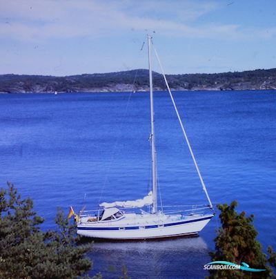 Hallberg-Rassy 312 -VERKAUFT- Sejlbåd 1986, med VOLVO PENTA 2003 motor, Tyskland