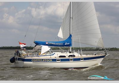 Hallberg-Rassy 312 Sejlbåd 1986, med Vetus motor, Holland