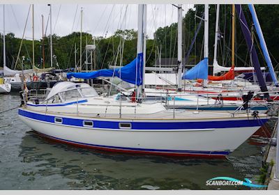 Hallberg Rassy 312 Sejlbåd 1982, Holland