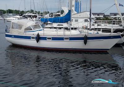 Hallberg-Rassy 312 Sejlbåd 1984, med Volvo Penta 2003 motor, Danmark