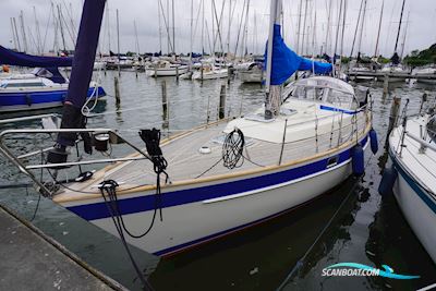 Hallberg Rassy 312 Sejlbåd 1982, Holland