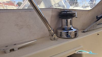 Hallberg-Rassy 312 Sejlbåd 1986, med Vetus motor, Holland