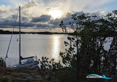 Hallberg-Rassy 312 Sejlbåd 1981, med Volvo Penta MD11 motor, Tyskland
